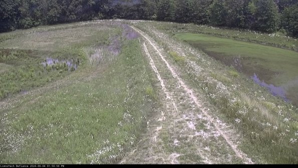 Cell 4 to Basin_24-06-04_13-50-51-31