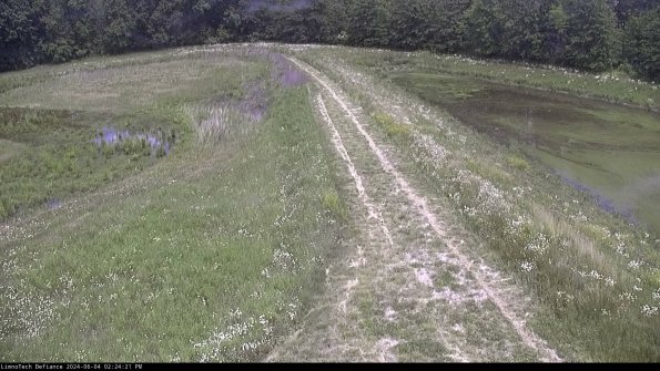 Cell 4 to Basin_24-06-04_14-24-22-33