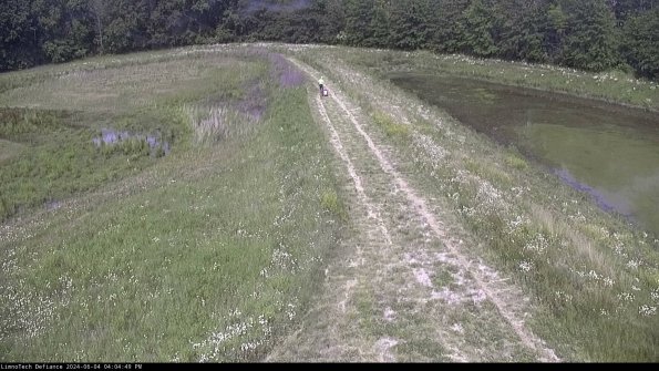 Cell 4 to Basin_24-06-04_16-04-50-31