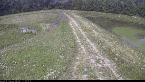 Cell 4 to Basin_24-06-04_16-38-20-36