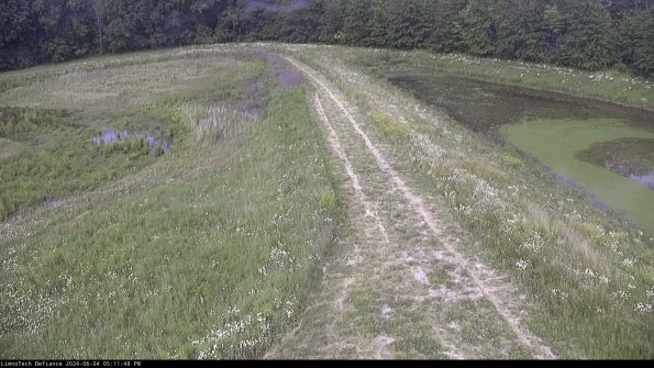 Cell 4 to Basin_24-06-04_17-11-49-35