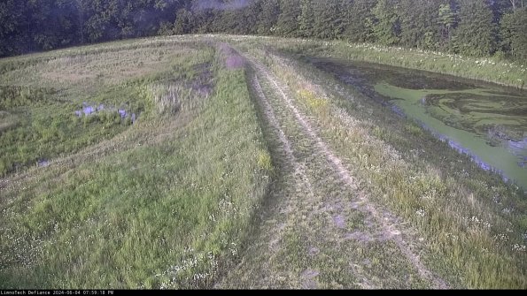 Cell 4 to Basin_24-06-04_19-59-19-34