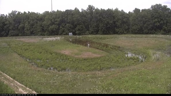 Cell 4_24-06-04_15-30-50-33