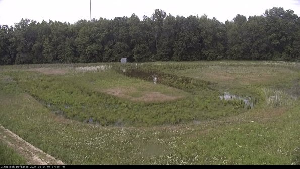 Cell 4_24-06-04_16-37-50-33