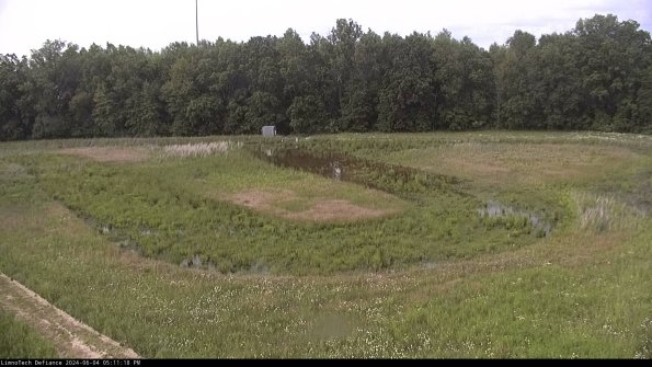 Cell 4_24-06-04_17-11-19-32