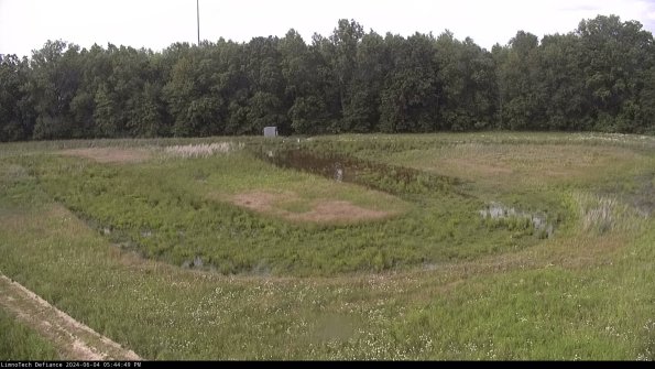 Cell 4_24-06-04_17-44-50-34