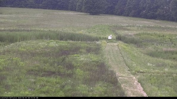 Cell 1 to 2_24-06-05_08-14-44-33