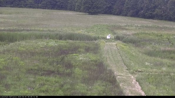 Cell 1 to 2_24-06-05_08-48-13-31