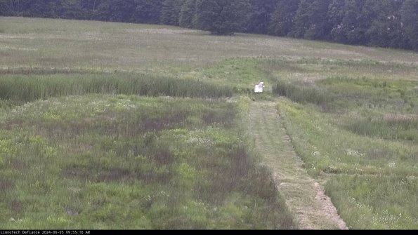 Cell 1 to 2_24-06-05_09-55-17-33