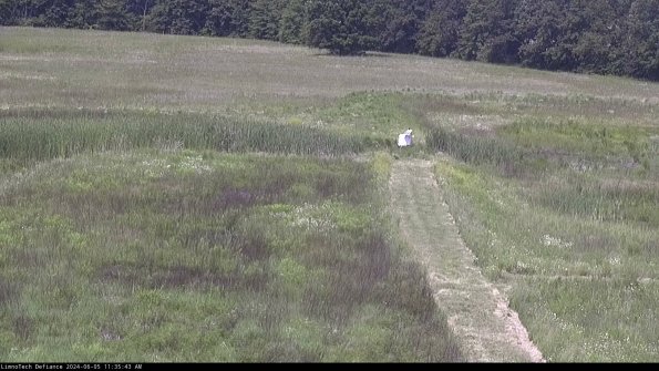 Cell 1 to 2_24-06-05_11-35-44-32