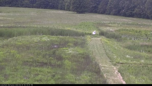 Cell 1 to 2_24-06-05_17-10-38-35