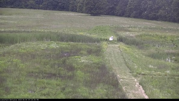 Cell 1 to 2_24-06-05_19-24-37-34