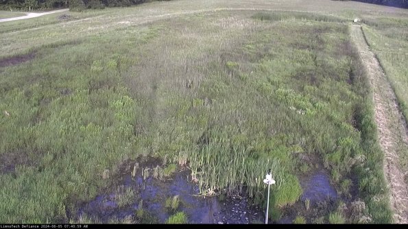 Cell 1_24-06-05_07-41-00-33