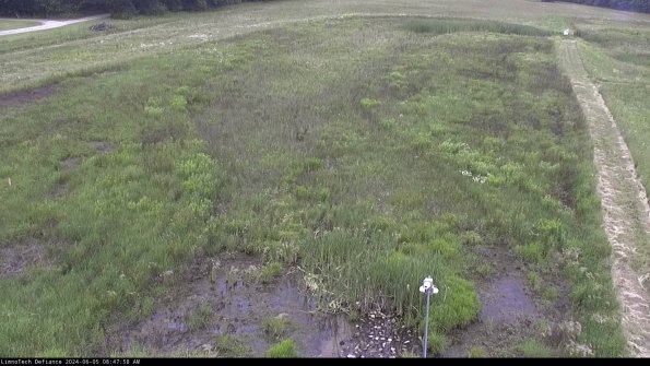 Cell 1_24-06-05_08-47-59-33