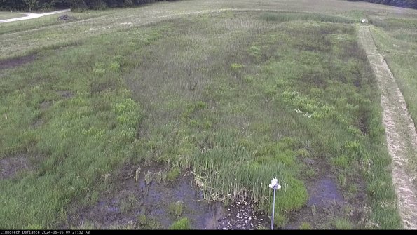 Cell 1_24-06-05_09-21-33-36