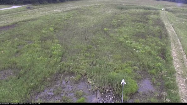 Cell 1_24-06-05_09-55-03-32