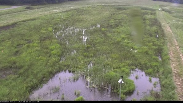 Cell 1_24-06-05_14-56-06-41