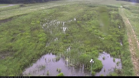 Cell 1_24-06-05_14-56-23-36