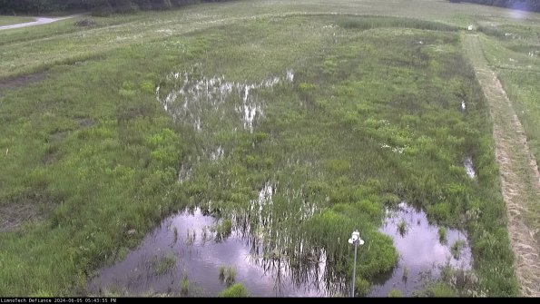 Cell 1_24-06-05_17-43-56-33