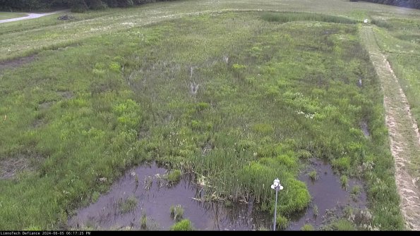 Cell 1_24-06-05_18-17-26-35