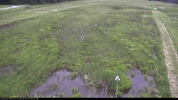 Cell 1_24-06-05_19-24-23-32