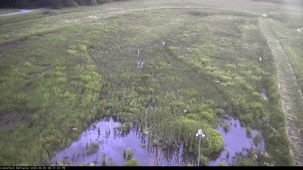 Cell 1_24-06-05_20-31-24-33