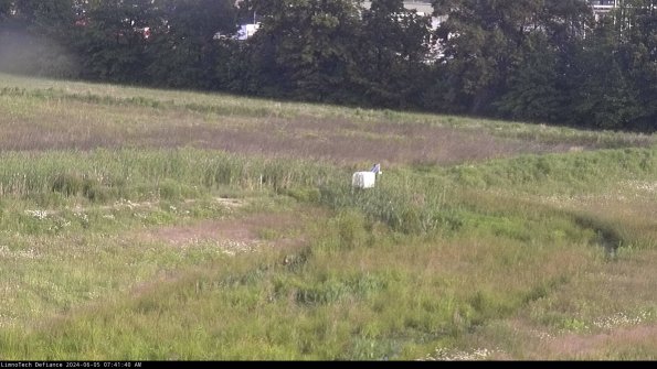 Cell 2 to 3_24-06-05_07-41-40-50