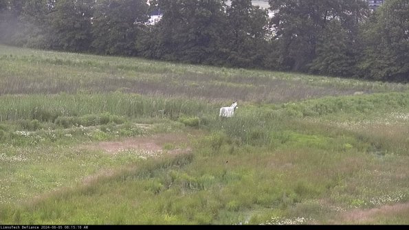 Cell 2 to 3_24-06-05_08-15-10-45