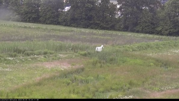 Cell 2 to 3_24-06-05_10-29-12-38