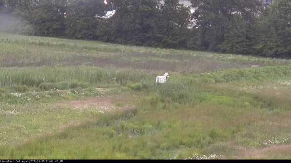 Cell 2 to 3_24-06-05_11-02-40-46