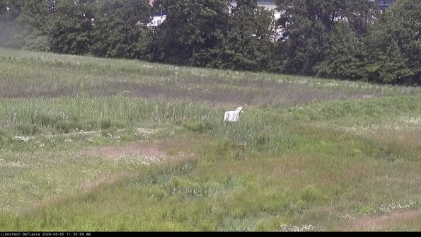 Cell 2 to 3_24-06-05_11-36-10-45