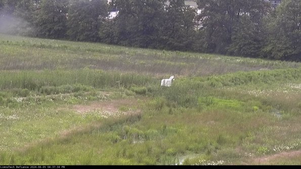 Cell 2 to 3_24-06-05_16-37-34-49