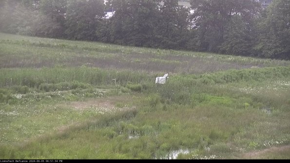 Cell 2 to 3_24-06-05_18-51-35-38