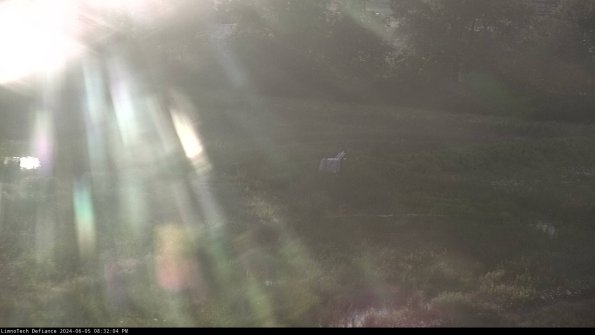 Cell 2 to 3_24-06-05_20-32-04-47