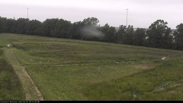 Cell 2_24-06-05_08-14-57-34