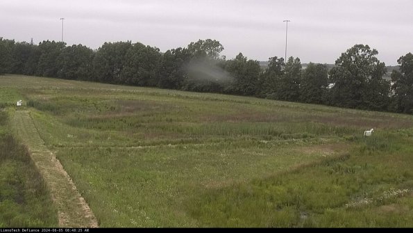 Cell 2_24-06-05_08-48-26-33