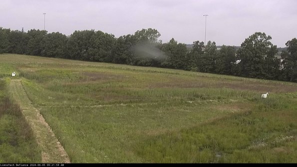 Cell 2_24-06-05_09-22-00-39