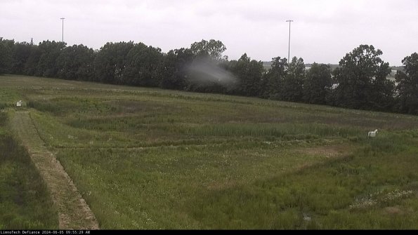 Cell 2_24-06-05_09-55-30-34