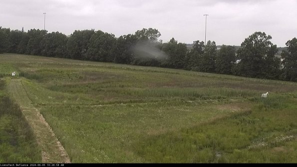 Cell 2_24-06-05_10-28-59-36