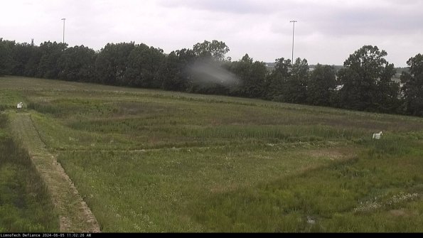 Cell 2_24-06-05_11-02-27-38