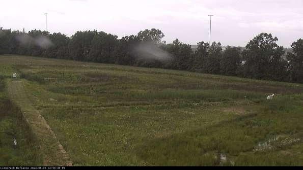 Cell 2_24-06-05_14-56-50-38