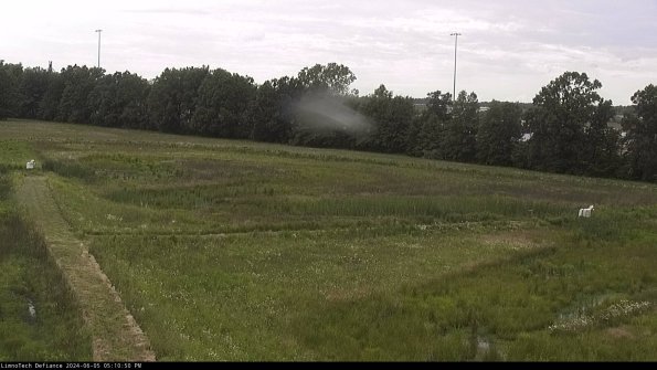 Cell 2_24-06-05_17-10-51-33