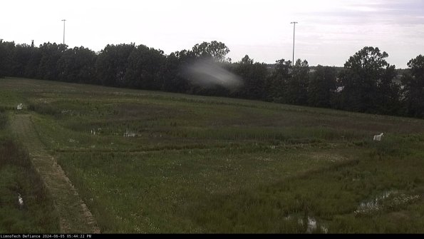 Cell 2_24-06-05_17-44-23-35