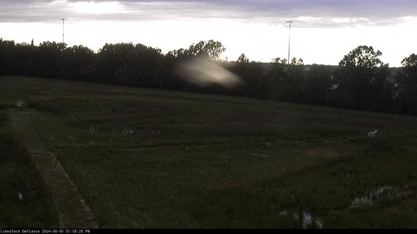 Cell 2_24-06-05_19-58-21-34