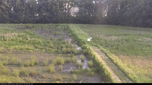 Cell 3 to 4_24-06-05_07-08-40-34