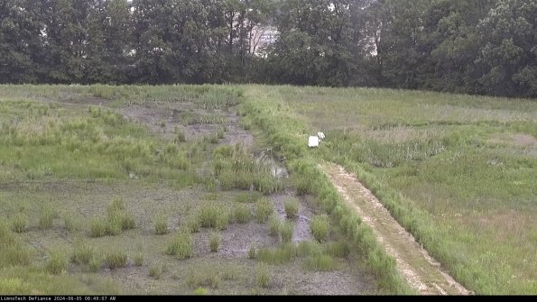 Cell 3 to 4_24-06-05_08-49-08-34