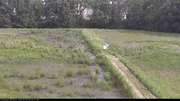 Cell 3 to 4_24-06-05_09-22-42-33