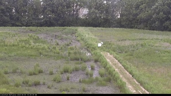 Cell 3 to 4_24-06-05_10-29-40-34