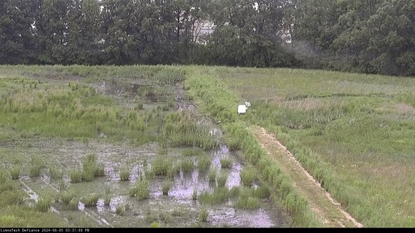 Cell 3 to 4_24-06-05_15-31-01-34