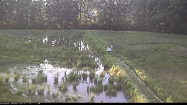 Cell 3 to 4_24-06-05_20-32-33-33